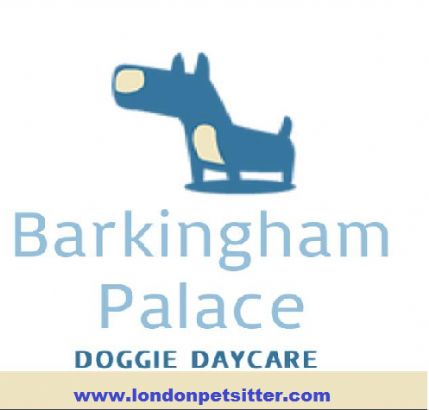 barkingham palace derbyshire