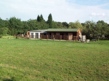 Windmill deals boarding kennels