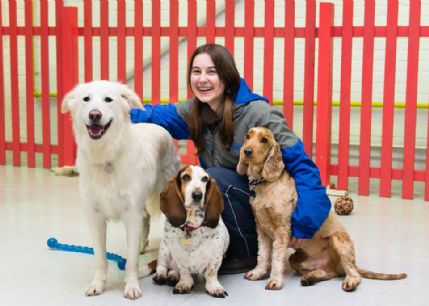 Doggy hot sale daycare solent